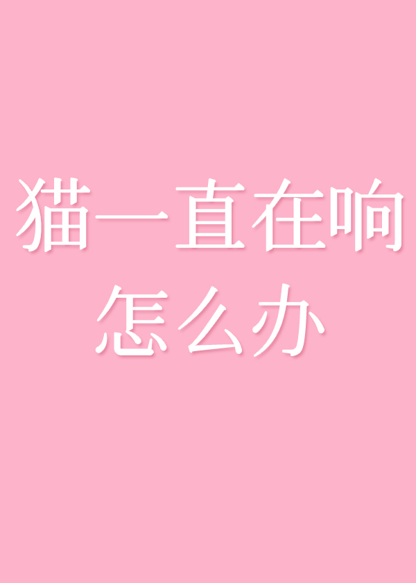 猫一直在响怎么办