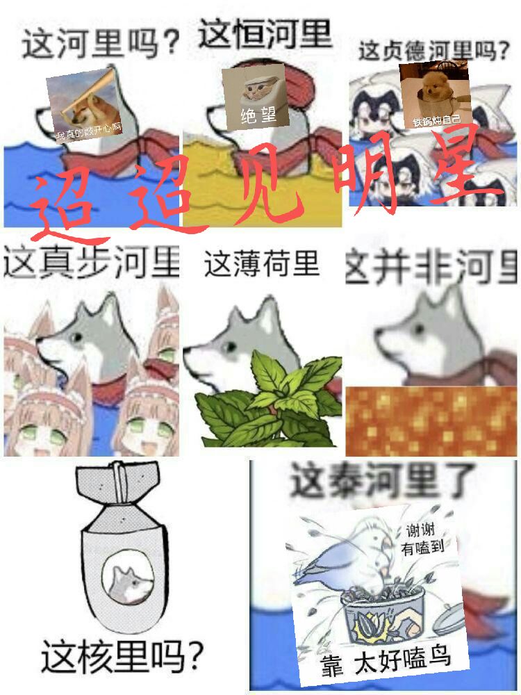 迢迢见明星[snh48]