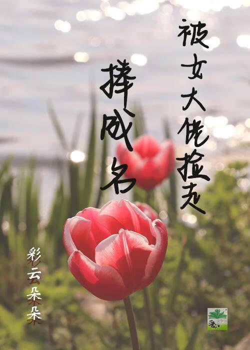 被女大佬捡走捧成名